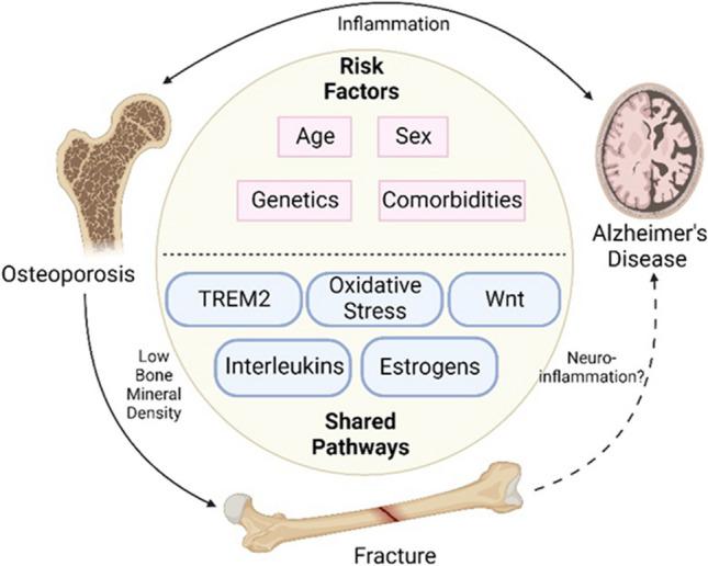 https://cdn.ncbi.nlm.nih.gov/pmc/blobs/7d21/11420299/d61337f3926b/11914_2023_851_Fig1_HTML.jpg