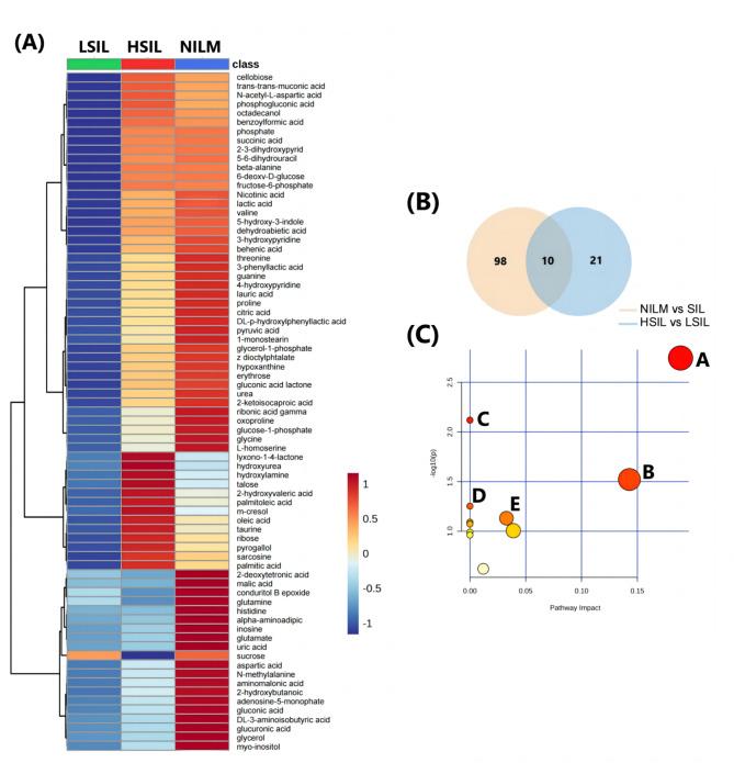 https://cdn.ncbi.nlm.nih.gov/pmc/blobs/7d21/11700163/3402b27ce314/41598_2024_84796_Fig3_HTML.jpg