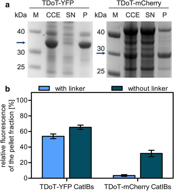 https://cdn.ncbi.nlm.nih.gov/pmc/blobs/7d23/6367779/5109747d4593/12934_2019_1081_Fig2_HTML.jpg