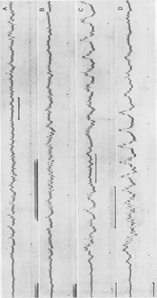 https://cdn.ncbi.nlm.nih.gov/pmc/blobs/7d26/1394523/8e83ca06b242/jphysiol01602-0123-a.jpg