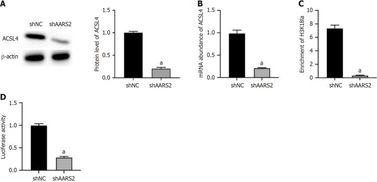 https://cdn.ncbi.nlm.nih.gov/pmc/blobs/7d27/12188583/d96c99cecbf5/wjgs-17-6-106777-g003.jpg