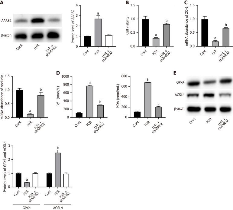 https://cdn.ncbi.nlm.nih.gov/pmc/blobs/7d27/12188583/e50f9a7fcc8d/wjgs-17-6-106777-g002.jpg
