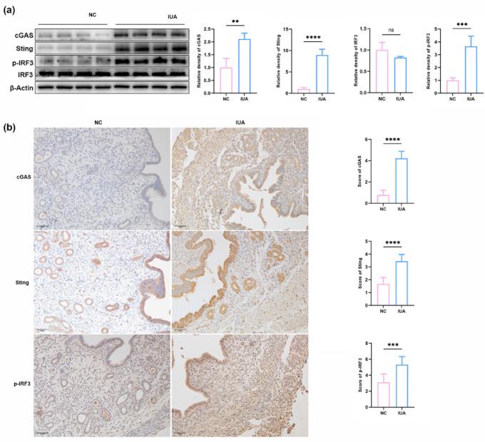 https://cdn.ncbi.nlm.nih.gov/pmc/blobs/7d27/12223152/8d681554e3f4/41598_2025_6162_Fig5_HTML.jpg