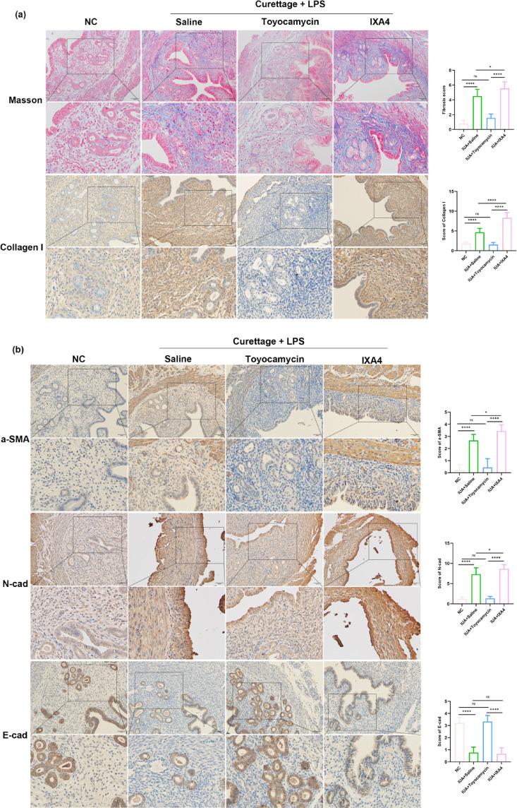 https://cdn.ncbi.nlm.nih.gov/pmc/blobs/7d27/12223152/beae34b27b30/41598_2025_6162_Fig7a_HTML.jpg