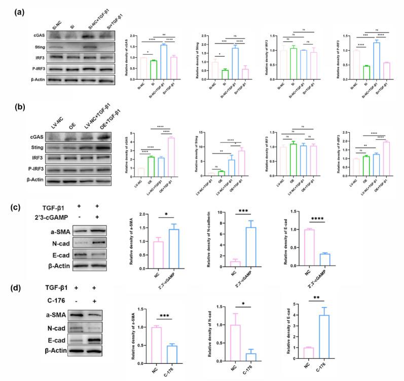 https://cdn.ncbi.nlm.nih.gov/pmc/blobs/7d27/12223152/ce5d27473b7b/41598_2025_6162_Fig6_HTML.jpg