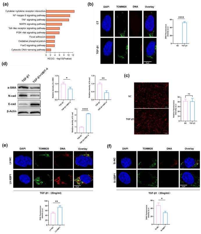 https://cdn.ncbi.nlm.nih.gov/pmc/blobs/7d27/12223152/ef2b1276f763/41598_2025_6162_Fig4_HTML.jpg