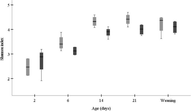 https://cdn.ncbi.nlm.nih.gov/pmc/blobs/7d27/8994737/040a747320a1/284_2022_2848_Fig5_HTML.jpg