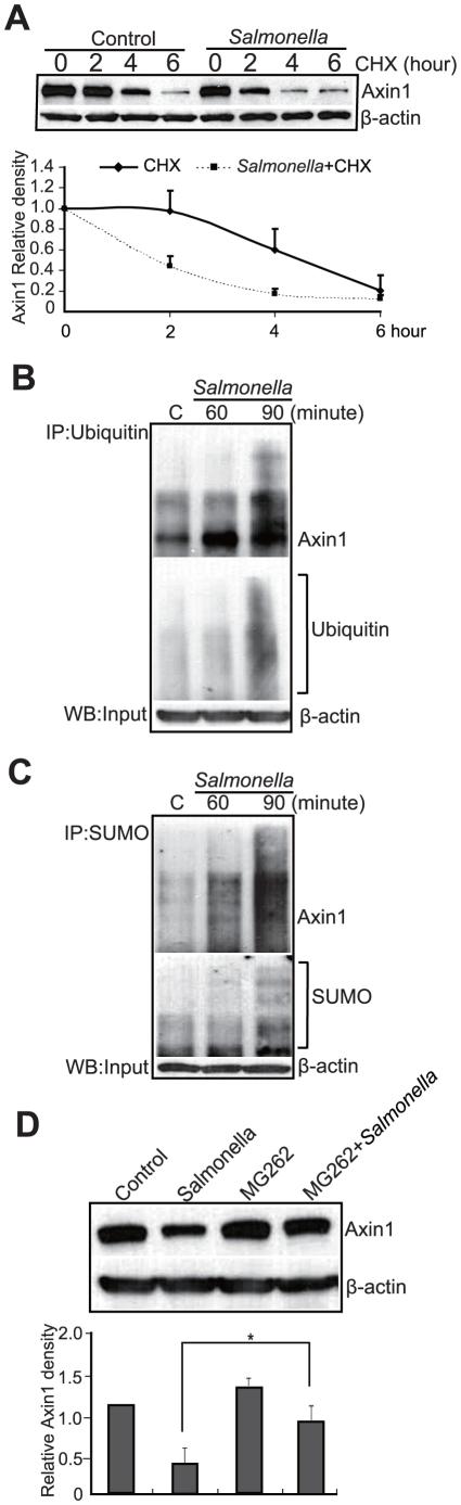 https://cdn.ncbi.nlm.nih.gov/pmc/blobs/7d2a/3324539/a8805a602fe4/pone.0034942.g002.jpg
