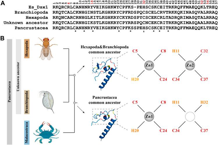 https://cdn.ncbi.nlm.nih.gov/pmc/blobs/7d2c/10252143/19293f9f394f/fphys-14-1201846-g006.jpg