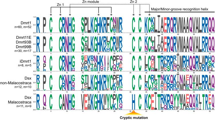 https://cdn.ncbi.nlm.nih.gov/pmc/blobs/7d2c/10252143/75e9be099c89/fphys-14-1201846-g005.jpg