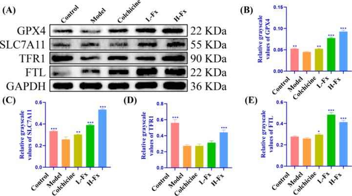 https://cdn.ncbi.nlm.nih.gov/pmc/blobs/7d2c/11865997/1950c4528c6a/ao4c11437_0007.jpg