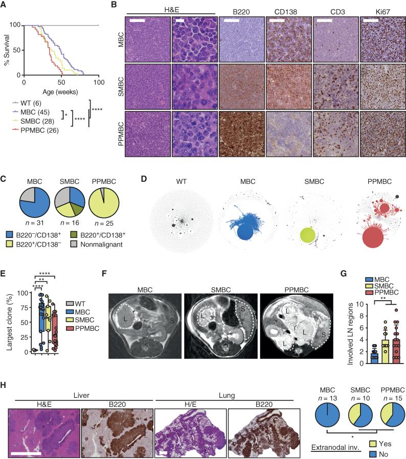 https://cdn.ncbi.nlm.nih.gov/pmc/blobs/7d2d/9816818/9bc7afee790f/78fig2.jpg