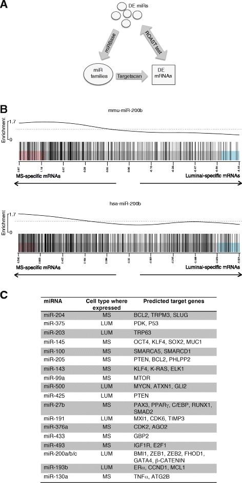 https://cdn.ncbi.nlm.nih.gov/pmc/blobs/7d31/4497411/1aecb792249c/13058_2015_585_Fig2_HTML.jpg