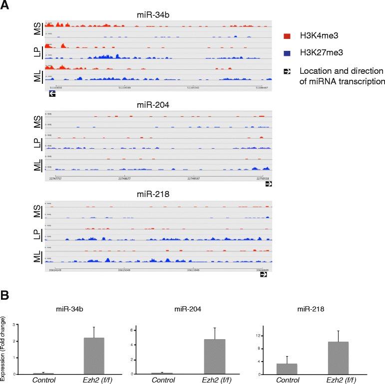 https://cdn.ncbi.nlm.nih.gov/pmc/blobs/7d31/4497411/be4b9d21047c/13058_2015_585_Fig6_HTML.jpg