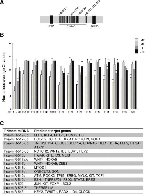 https://cdn.ncbi.nlm.nih.gov/pmc/blobs/7d31/4497411/e82021e47822/13058_2015_585_Fig3_HTML.jpg