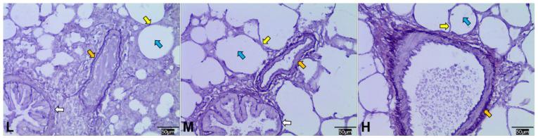 https://cdn.ncbi.nlm.nih.gov/pmc/blobs/7d31/9405401/716c8a6de7dc/animals-12-02134-g004.jpg