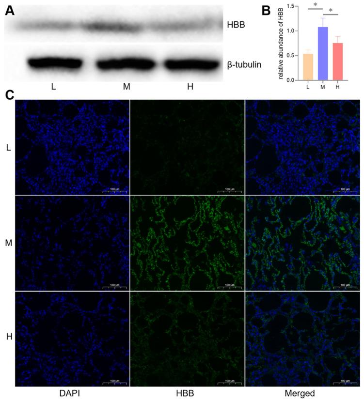https://cdn.ncbi.nlm.nih.gov/pmc/blobs/7d31/9405401/c7f80cabb054/animals-12-02134-g013.jpg