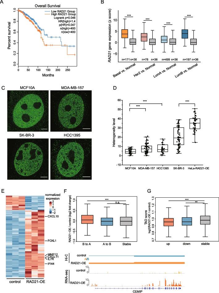 https://cdn.ncbi.nlm.nih.gov/pmc/blobs/7d32/10303866/484317fdcb58/13059_2023_2982_Fig5_HTML.jpg