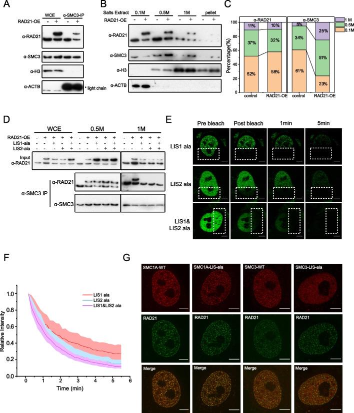 https://cdn.ncbi.nlm.nih.gov/pmc/blobs/7d32/10303866/b790ee303b97/13059_2023_2982_Fig2_HTML.jpg