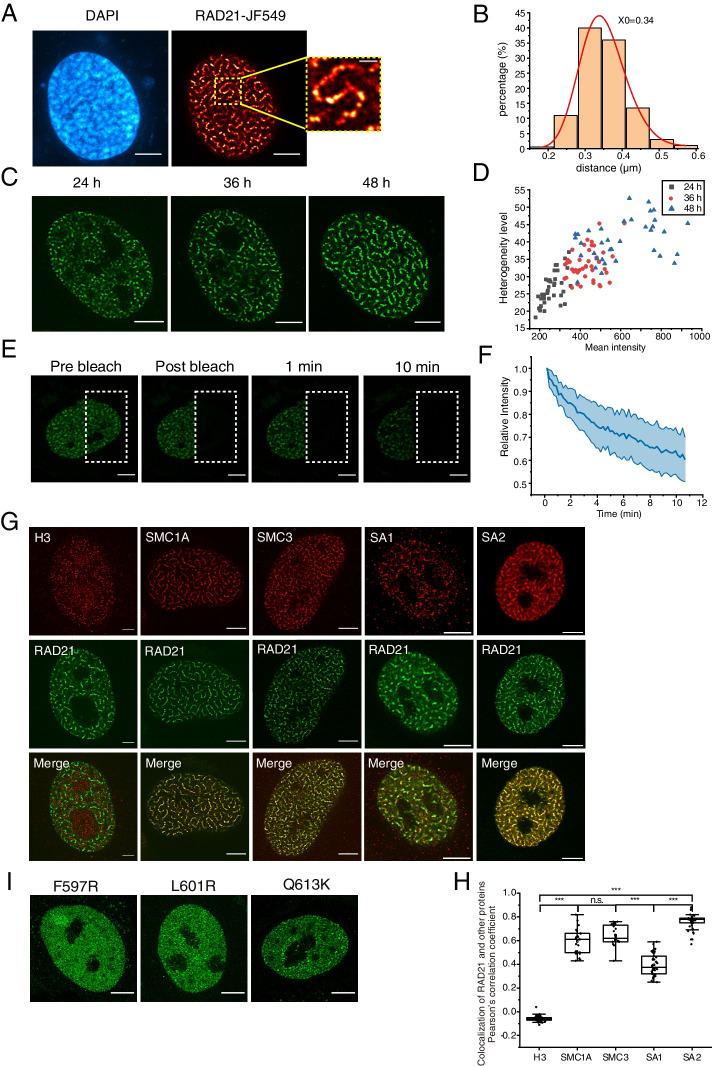 https://cdn.ncbi.nlm.nih.gov/pmc/blobs/7d32/10303866/b9b90f74b88a/13059_2023_2982_Fig1_HTML.jpg