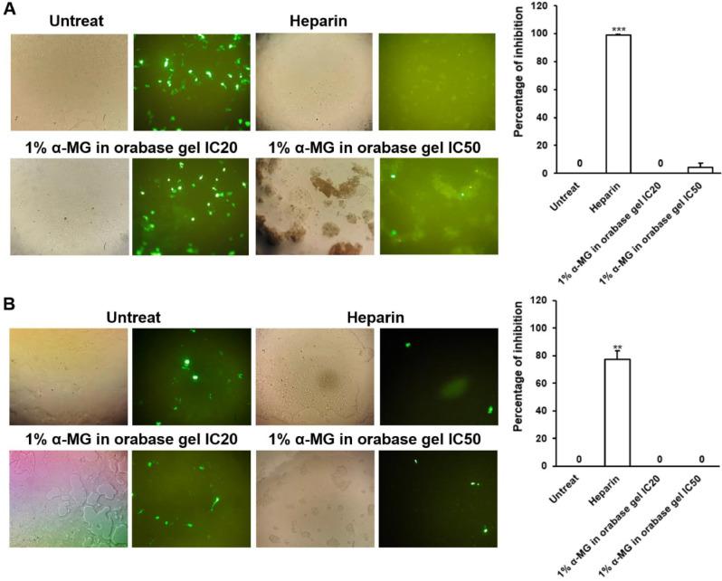 https://cdn.ncbi.nlm.nih.gov/pmc/blobs/7d34/11264970/30e8fda920ea/12906_2024_4450_Fig5_HTML.jpg