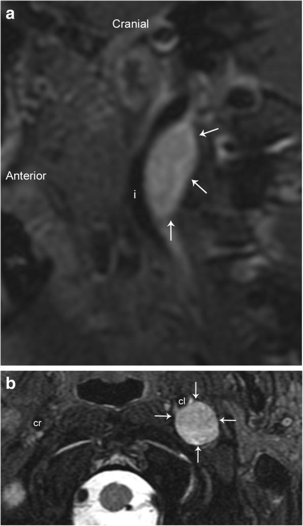 https://cdn.ncbi.nlm.nih.gov/pmc/blobs/7d35/6377693/515ccef9e69b/13244_2019_704_Fig5_HTML.jpg