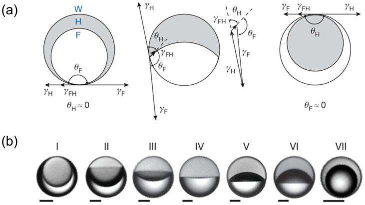 https://cdn.ncbi.nlm.nih.gov/pmc/blobs/7d36/10972325/8ba1e43d0b93/micromachines-15-00337-g005.jpg