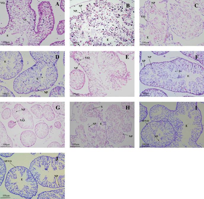 https://cdn.ncbi.nlm.nih.gov/pmc/blobs/7d36/11888817/954a712cc444/ANU2025-3196037.003.jpg
