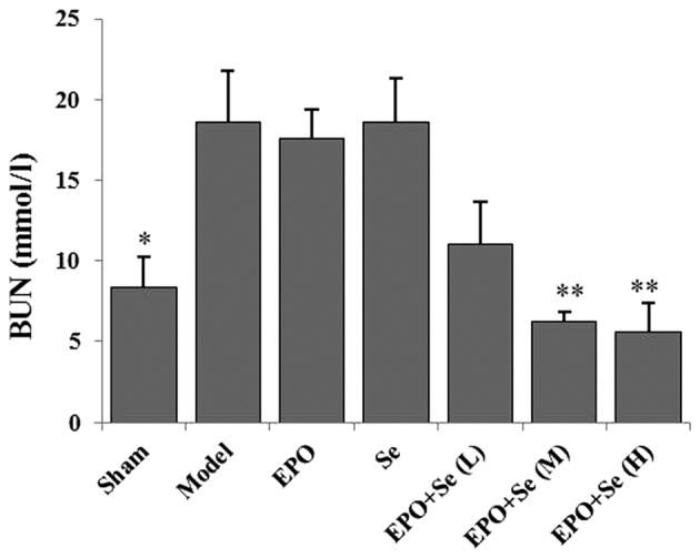 https://cdn.ncbi.nlm.nih.gov/pmc/blobs/7d37/4758319/c4425675a7ba/MMR-12-06-7933-g00.jpg