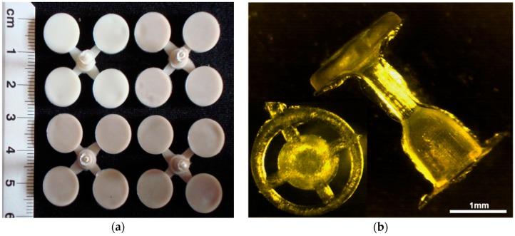 https://cdn.ncbi.nlm.nih.gov/pmc/blobs/7d37/6151403/fcc4486e2f41/molecules-22-01681-g007.jpg