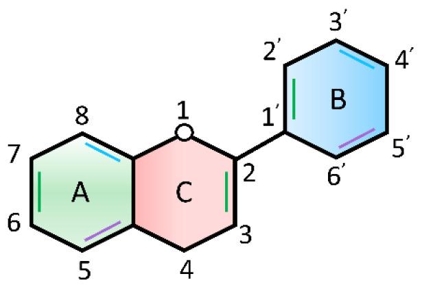 https://cdn.ncbi.nlm.nih.gov/pmc/blobs/7d37/9409438/08b7d8522083/ijms-23-09288-g009.jpg