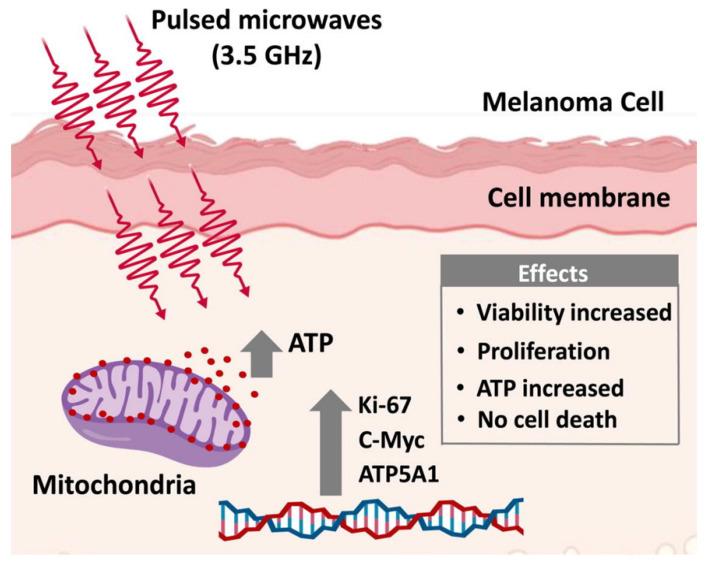https://cdn.ncbi.nlm.nih.gov/pmc/blobs/7d37/9409438/ed53884fd17e/ijms-23-09288-g004.jpg