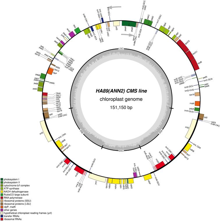 https://cdn.ncbi.nlm.nih.gov/pmc/blobs/7d38/6562223/065460694727/gr4.jpg