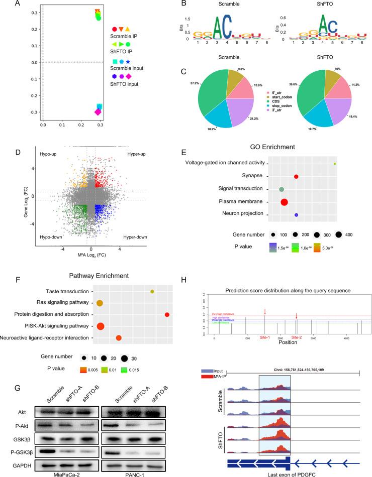 https://cdn.ncbi.nlm.nih.gov/pmc/blobs/7d3a/9106577/0956088389a8/41388_2022_2306_Fig4_HTML.jpg