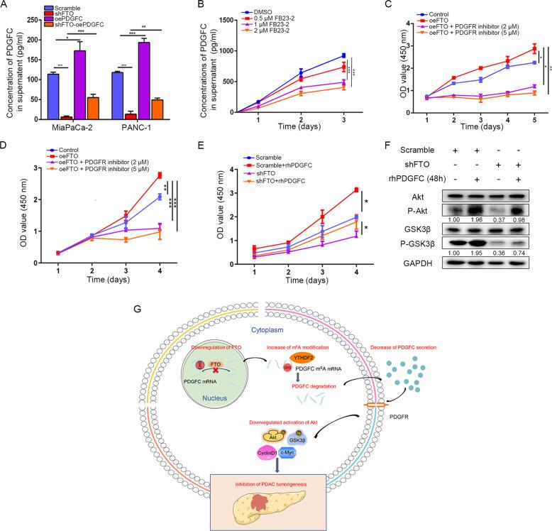 https://cdn.ncbi.nlm.nih.gov/pmc/blobs/7d3a/9106577/f41614da5edf/41388_2022_2306_Fig8_HTML.jpg