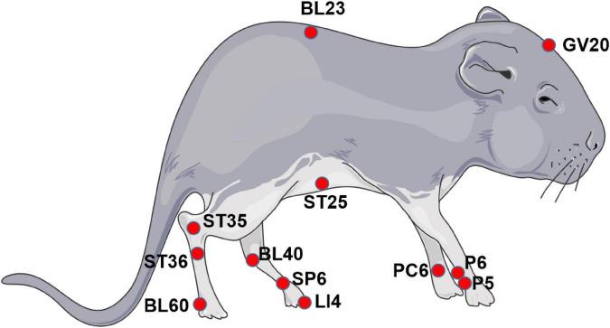 https://cdn.ncbi.nlm.nih.gov/pmc/blobs/7d3b/9668865/818ef254574b/fnmol-15-817738-g001.jpg