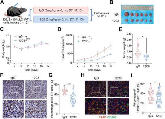 https://cdn.ncbi.nlm.nih.gov/pmc/blobs/7d3c/11304266/043d6ea89182/ADVS-11-2400611-g006.jpg