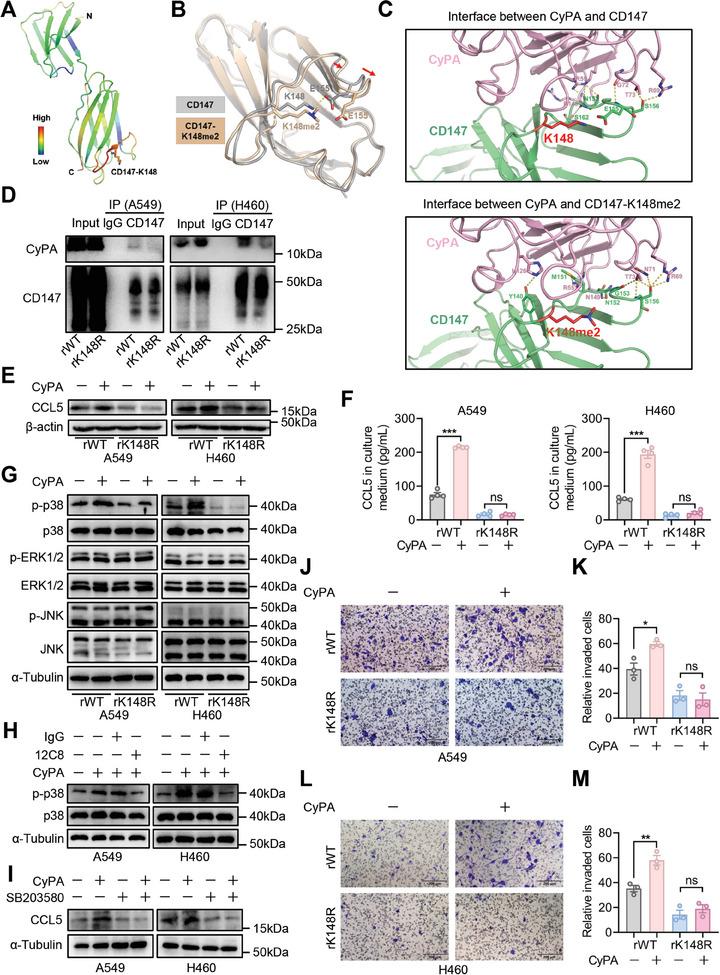 https://cdn.ncbi.nlm.nih.gov/pmc/blobs/7d3c/11304266/90fe4c5daca6/ADVS-11-2400611-g005.jpg