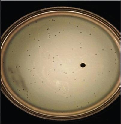 https://cdn.ncbi.nlm.nih.gov/pmc/blobs/7d3d/5591488/c7030ea02834/VetWorld-10-973-g002.jpg