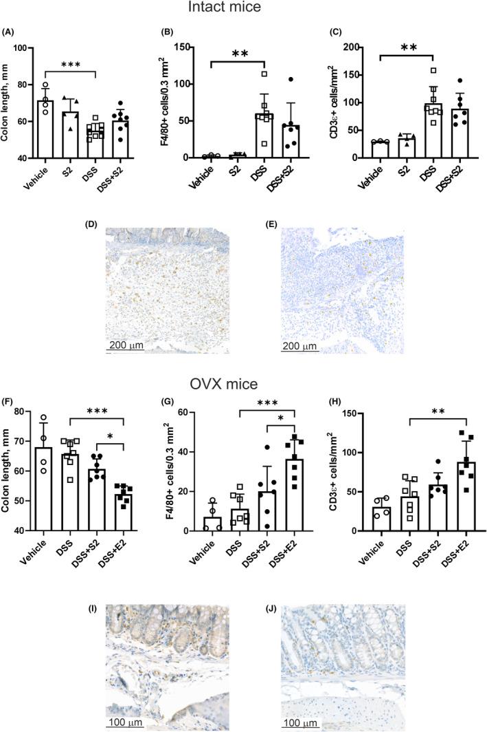 https://cdn.ncbi.nlm.nih.gov/pmc/blobs/7d3e/11222167/0d9c9073fb9a/PRP2-12-e1234-g005.jpg