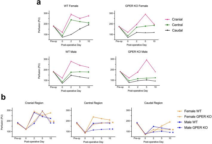 https://cdn.ncbi.nlm.nih.gov/pmc/blobs/7d3e/11310200/5f31e13e4b93/41598_2024_68620_Fig2_HTML.jpg