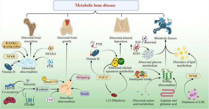 https://cdn.ncbi.nlm.nih.gov/pmc/blobs/7d3f/12021879/263d17ed1ddd/fphar-16-1576286-g001.jpg