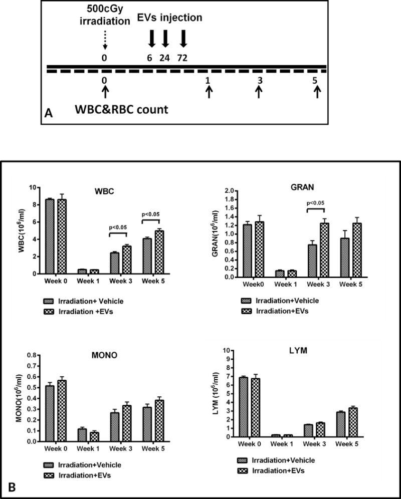 https://cdn.ncbi.nlm.nih.gov/pmc/blobs/7d40/5093052/e94ab5baf5ed/nihms777048f2.jpg