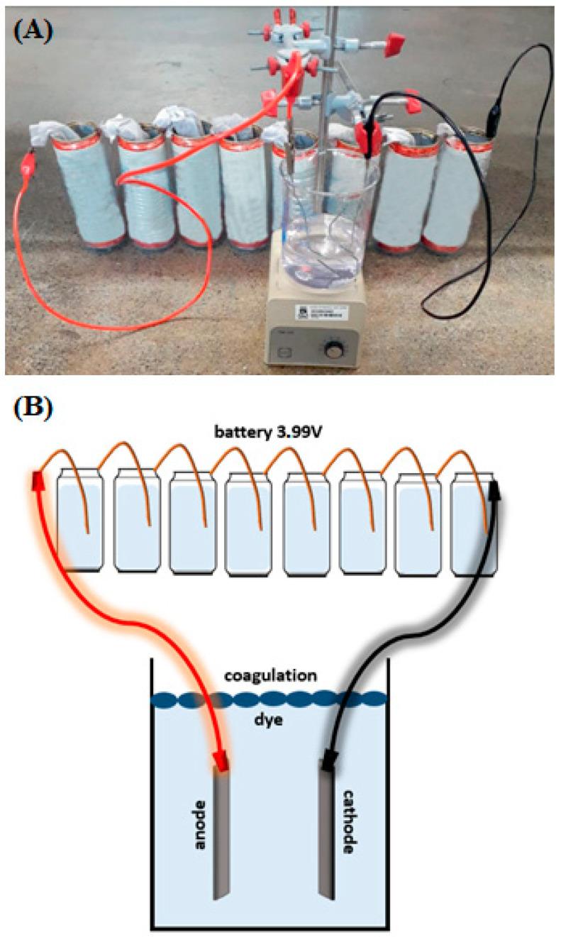 https://cdn.ncbi.nlm.nih.gov/pmc/blobs/7d42/10296702/dfcc493a5130/biosensors-13-00655-g001.jpg