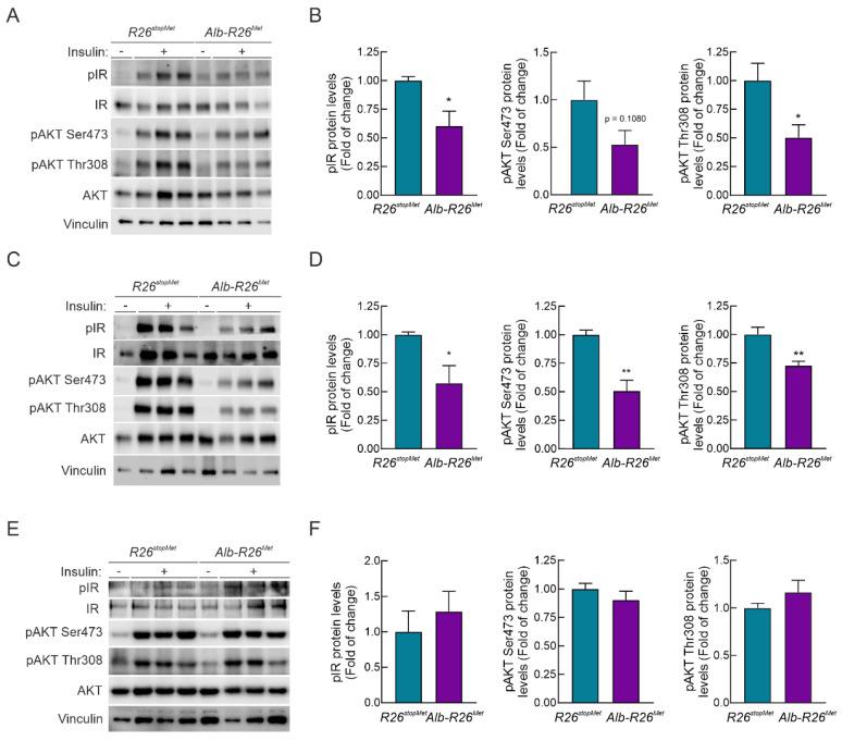 https://cdn.ncbi.nlm.nih.gov/pmc/blobs/7d42/8909847/2a1619ba4613/cells-11-00793-g005.jpg