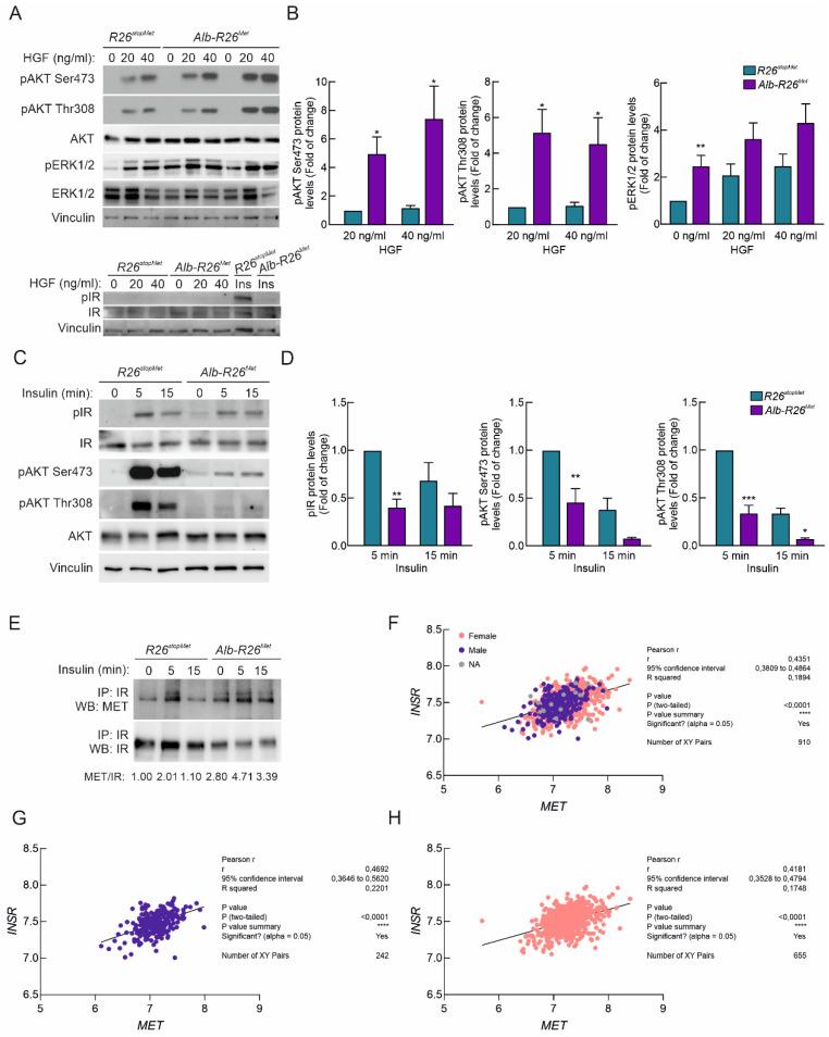 https://cdn.ncbi.nlm.nih.gov/pmc/blobs/7d42/8909847/ce5241748f97/cells-11-00793-g006.jpg