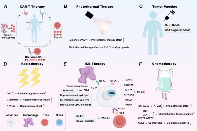 https://cdn.ncbi.nlm.nih.gov/pmc/blobs/7d44/11529036/e3af3a3f4b1f/40364_2024_677_Fig6_HTML.jpg
