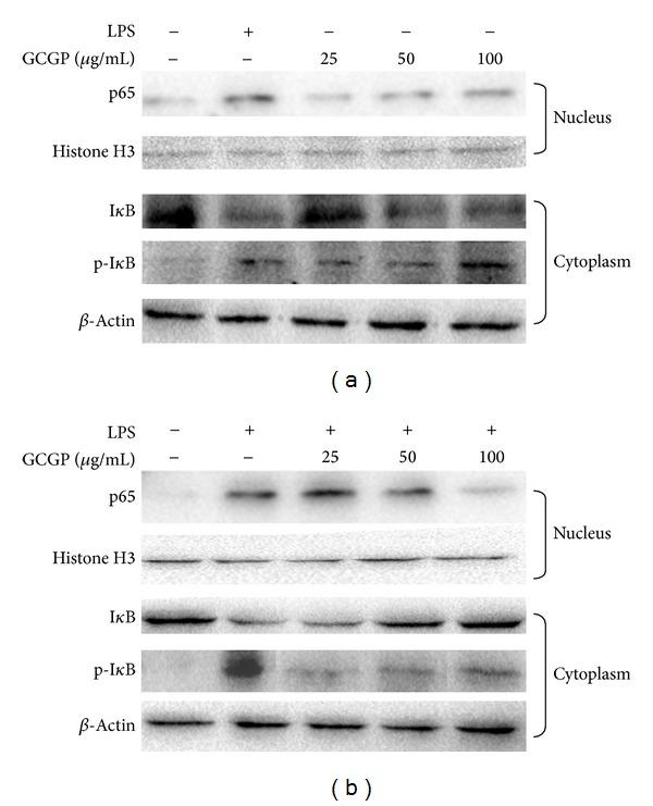 https://cdn.ncbi.nlm.nih.gov/pmc/blobs/7d45/4055584/a42a33a4fdaa/MI2014-691285.002.jpg