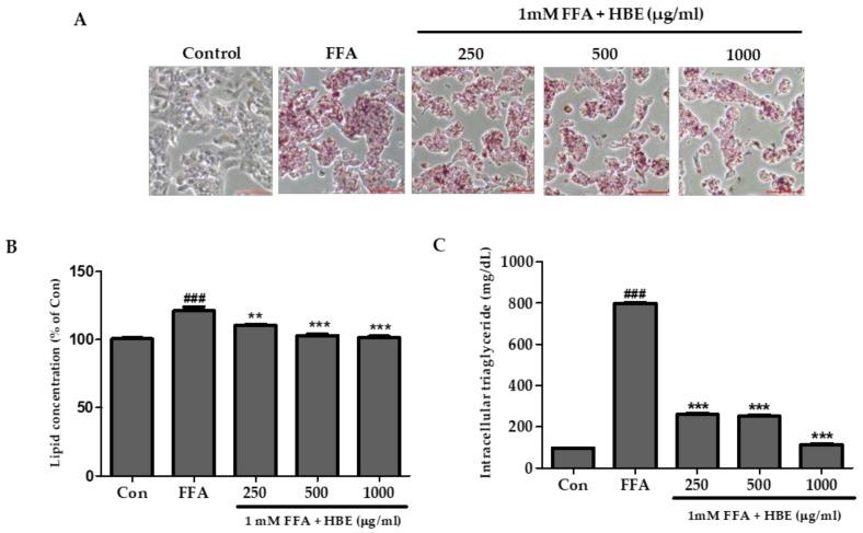 https://cdn.ncbi.nlm.nih.gov/pmc/blobs/7d45/6471428/0eb356cbfd79/nutrients-11-00494-g003.jpg