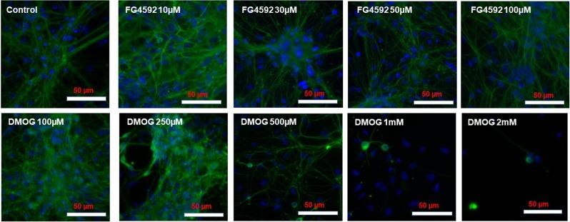 https://cdn.ncbi.nlm.nih.gov/pmc/blobs/7d45/6994562/2ef358fea487/41598_2020_58482_Fig9_HTML.jpg